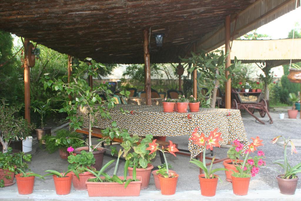Guest House Edelvais Dve Mogili Экстерьер фото